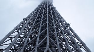 この日は曇っていましたが・・・