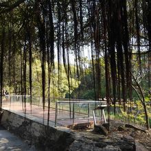 南国らしい城跡です。