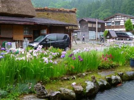 白川郷　合掌造りの宿　一茶 写真