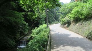 おすすめは、６号路ですね。夏の暑い日には、川沿いを歩く事で、涼しさを味わい事ができます