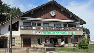 生き物観察ができます