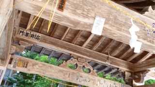 朝のおさんぽコースに。