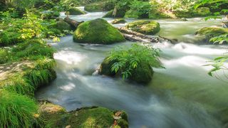 場所毎に水の流れの違いや色々な種類の滝が楽しめるスポット