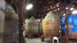 行ってみる価値はある！？