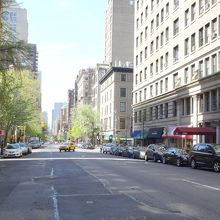 下車したバス停からMadison Ave 南方向を望む