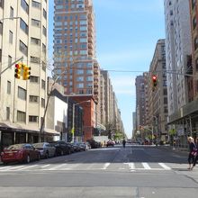 下車したバス停からMadison Ave 北方向を望む