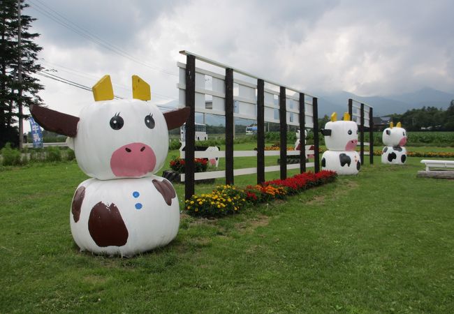 飲むヨーグルトが人気です