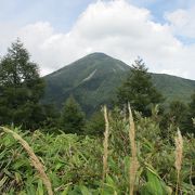 なだらかな八子ヶ峰