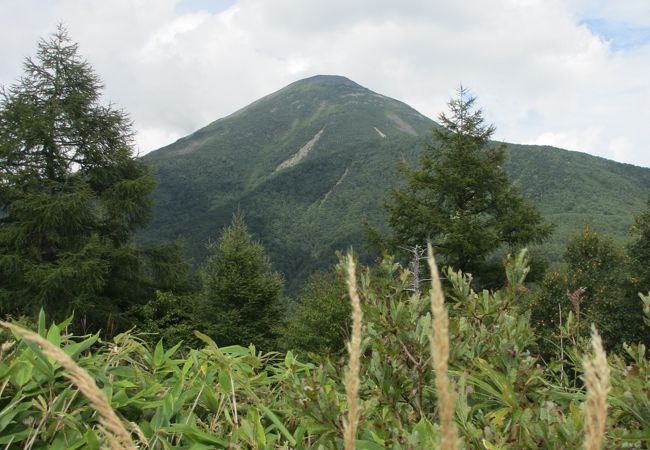 なだらかな八子ヶ峰