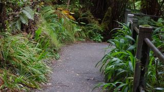 見える人には・・・