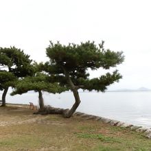 琵琶湖その2