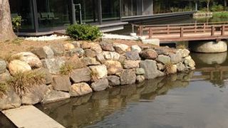 外宮にある池。せんぐう館はほとりにあります。カメもいます。