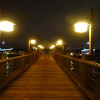 桟橋　マジックキングダム行き