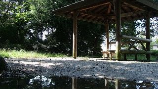 中川駅の前の自然豊かな公園