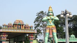 テーマパーク見たかった