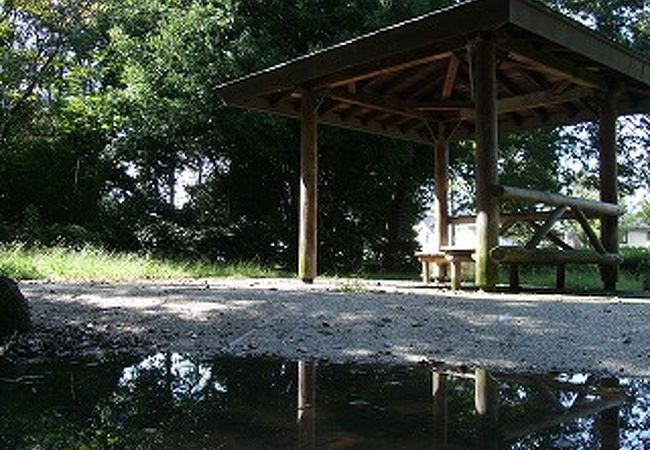 中川駅の前の自然豊かな公園