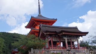 大人気で大混雑