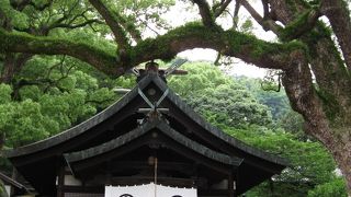 一見の価値あり