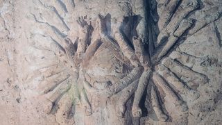 素晴らしい大谷磨崖仏