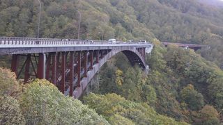 紅葉にはチョット早かったかな