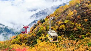 紅葉時は車窓から見る風景にも感動