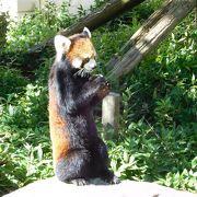 福岡市動物園