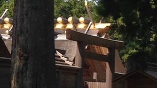 外宮で最も格の高い建物。内宮と違い、横から見れます。
