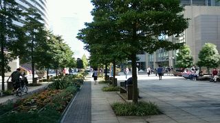 発展してきた通り