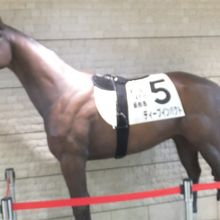 ディープインンパクト