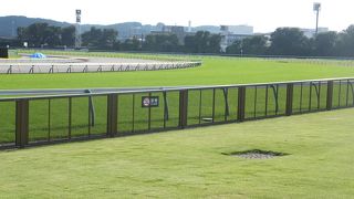 この日は中山開催でしたが、入場者は沢山居ました