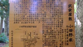 午前中がオススメ。