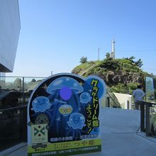 クラゲドリーム館入口付近。向こうの断崖絶壁に灯台があります。