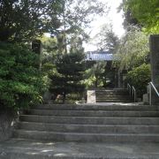 苔で有名な寺院