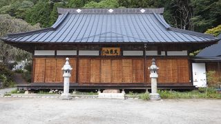 見頃は１１月上旬から。