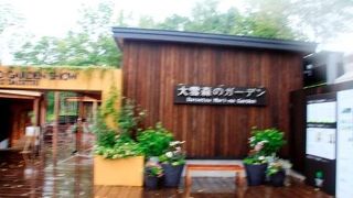 雨の中あまり見れなかった