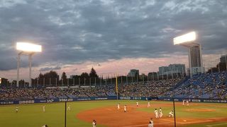 ヤクルトの本拠地&大学野球の聖地