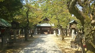 ひっそりと咲く忘れな草のように