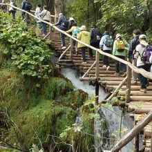 木道を通って上の湖へ