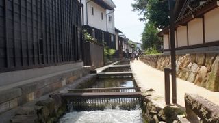 穏やかなひとときを