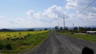 広大なオホーツク地域の風景