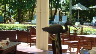 熱帯の鳥と触れ合えるグリーンアイランド・リゾートのレストラン・キャノピグリル