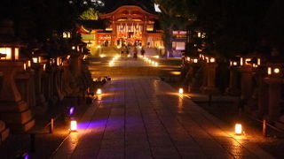 大満足の夜間拝観