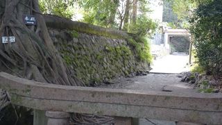 こんなに埋まってるとは