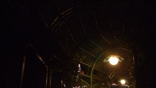 全然怖くない(フランダーのフライングフィッシュコースター)