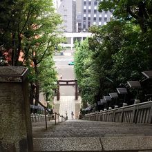 出世の階段の上から