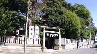 おもしろいおみくじがある縁結びの神様