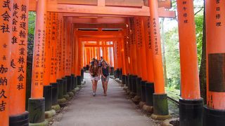 途中まで登れば人のいない鳥居が撮れる