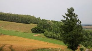 広大な眺望が望めます