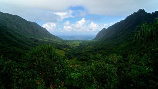 ジャングルの先には絶景が！