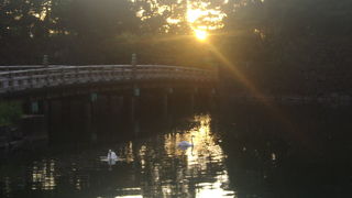 東京駅から一番近い「皇居」です
